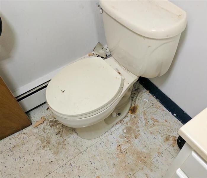 Toilet with sewage 