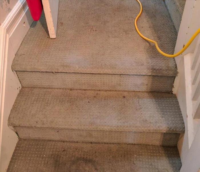 Carpet damaged after water leak on stairs